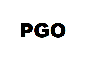 PGO PMX 50 Bj. 1998 - 2002