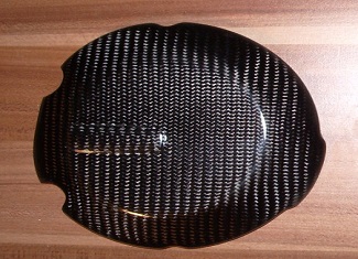 Motordeckelschützer aus Carbon