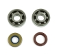 Preview: HM-Moto CRE50 Kurbelwellenlager + Simmerringen
