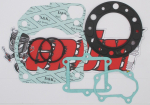 Honda CR250 R Bj. 1992 - 2001 Grüni Zylinderdichtsatz